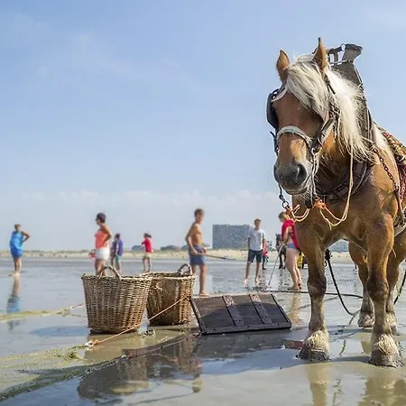Skyview Oostduinkerke
