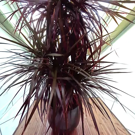 Appartamento Skyview *