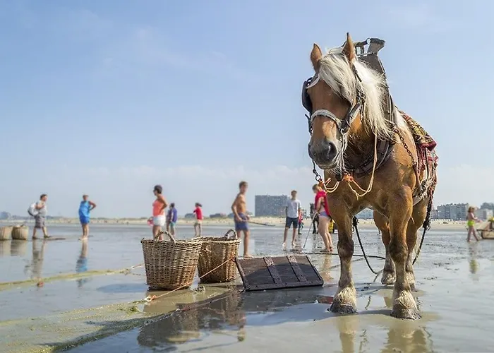 Skyview Oostduinkerke